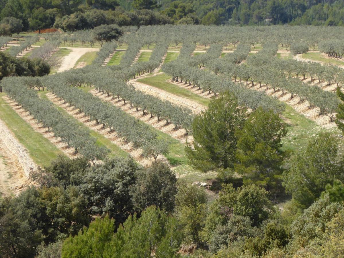 אופס La Rabasse De Gallinette מראה חיצוני תמונה