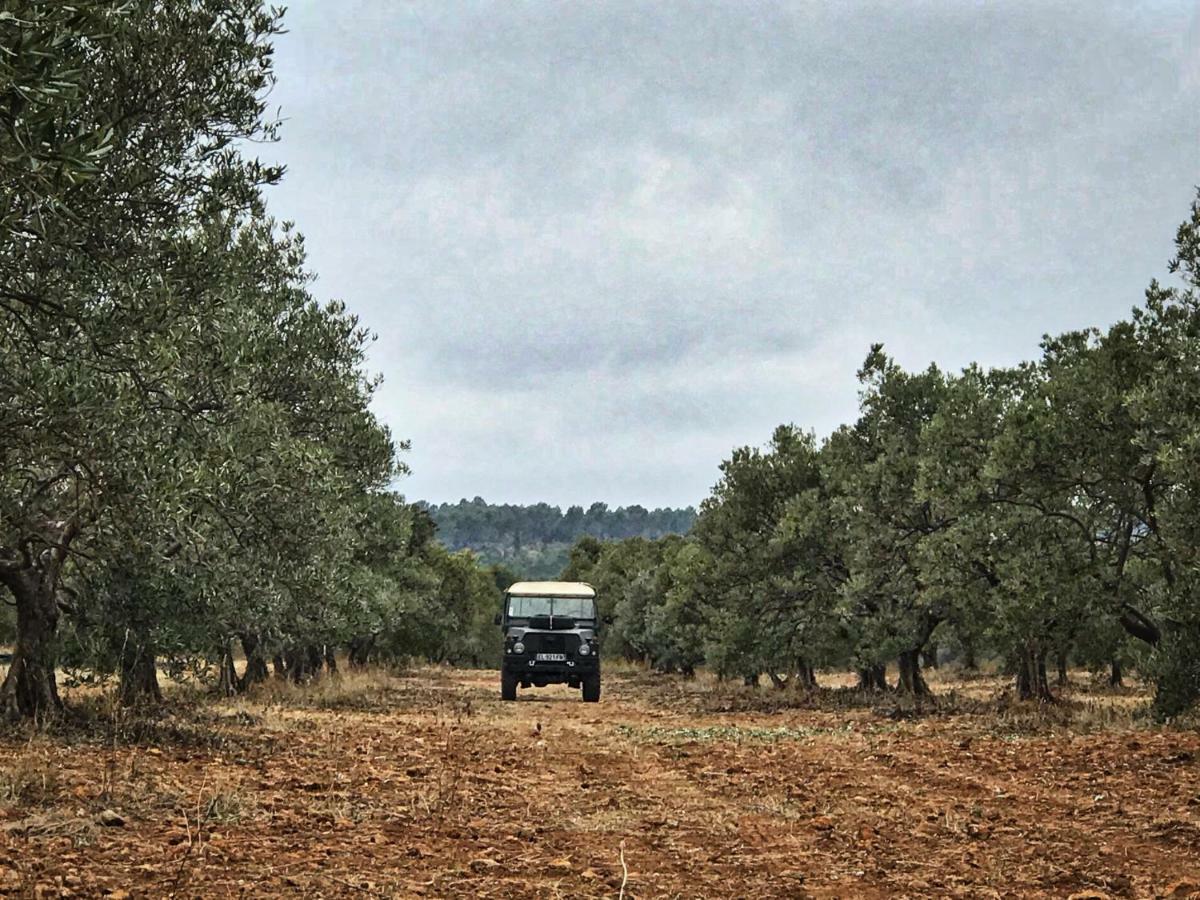 מלון אופס La Rabasse De Gallinette מראה חיצוני תמונה